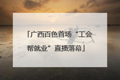广西百色首场“工会帮就业”直播落幕