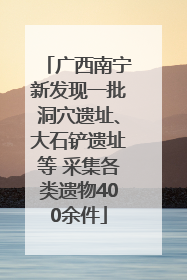 广西南宁新发现一批洞穴遗址、大石铲遗址等 采集各类遗物400余件