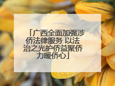 广西全面加强涉侨法律服务 以法治之光护侨益聚侨力暖侨心