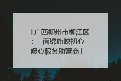 广西柳州市柳江区：一面锦旗映初心 暖心服务助营商