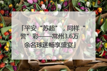 平安“苏超”，同样“警”彩——常州3.6万余名球迷畅享盛宴