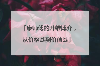 康师傅的升维博弈，从价格战到价值战