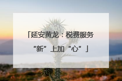 延安黄龙：税费服务“新”上加“心”