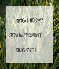 廊坊市低空经济发展座谈会在廊坊举行