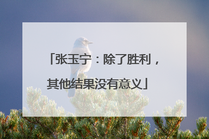 张玉宁：除了胜利，其他结果没有意义