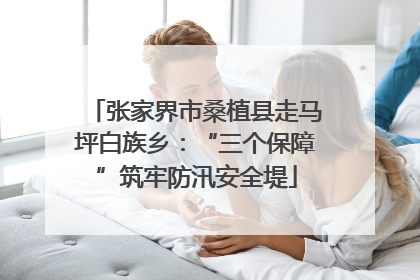 张家界市桑植县走马坪白族乡：“三个保障”筑牢防汛安全堤