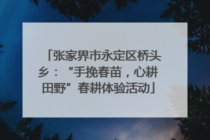 张家界市永定区桥头乡：“手挽春苗，心耕田野”春耕体验活动