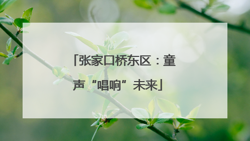 张家口桥东区：童声“唱响”未来