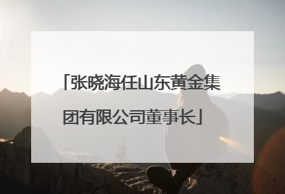 张晓海任山东黄金集团有限公司董事长