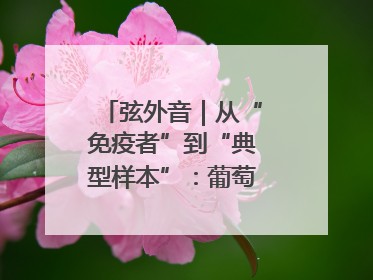 弦外音｜从“免疫者”到“典型样本”：葡萄牙极右翼崛起背后的欧洲困局