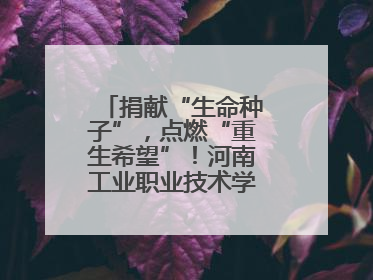 捐献“生命种子”，点燃“重生希望”！河南工业职业技术学院校友为患者捐献造血干细胞