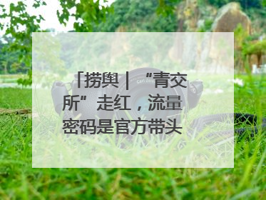 捞舆｜“青交所”走红，流量密码是官方带头“玩起来”