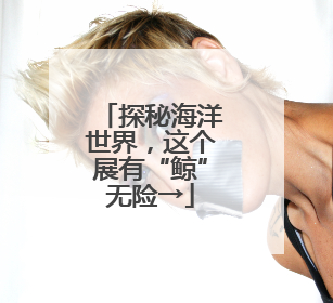 探秘海洋世界，这个展有“鲸”无险→