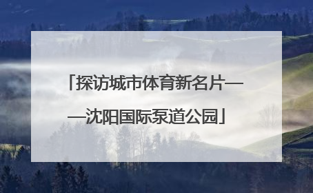 探访城市体育新名片——沈阳国际泵道公园