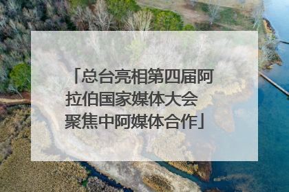 总台亮相第四届阿拉伯国家媒体大会 聚焦中阿媒体合作