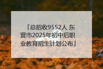 总招收9552人 东营市2025年初中后职业教育招生计划公布