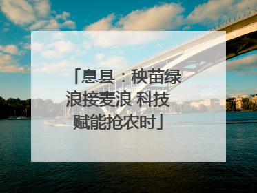 息县：秧苗绿浪接麦浪 科技赋能抢农时