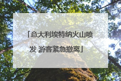 意大利埃特纳火山喷发 游客紧急撤离