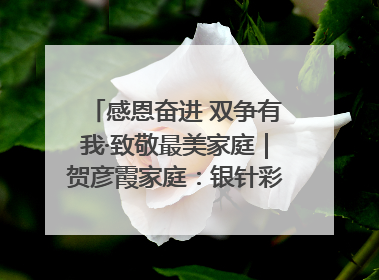 感恩奋进 双争有我·致敬最美家庭｜贺彦霞家庭：银针彩线绣出好日子