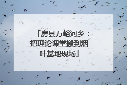 房县万峪河乡：把理论课堂搬到烟叶基地现场