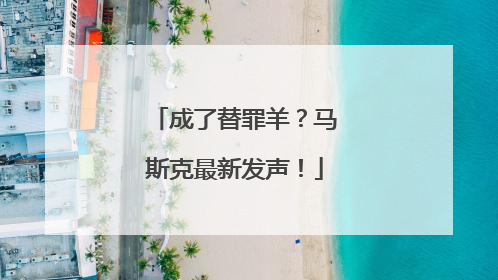 成了替罪羊？马斯克最新发声！