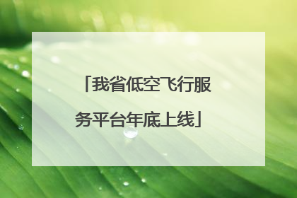 我省低空飞行服务平台年底上线