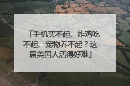 手机买不起、炸鸡吃不起、宠物养不起？这届美国人活得好难
