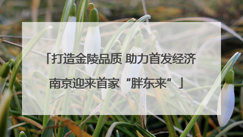 打造金陵品质 助力首发经济 南京迎来首家“胖东来”