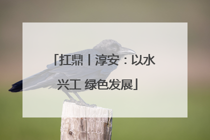 扛鼎丨淳安：以水兴工 绿色发展
