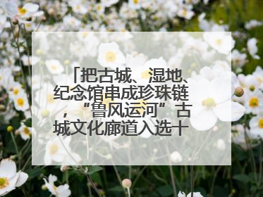 把古城、湿地、纪念馆串成珍珠链，“鲁风运河”古城文化廊道入选十大最美农村路