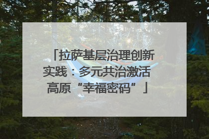 拉萨基层治理创新实践：多元共治激活高原“幸福密码”