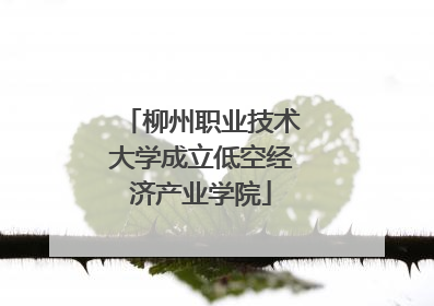 柳州职业技术大学成立低空经济产业学院