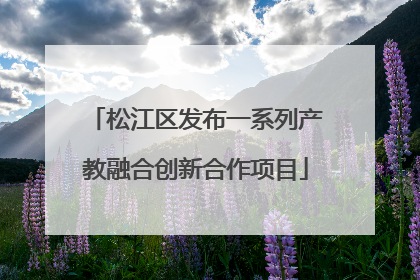 松江区发布一系列产教融合创新合作项目