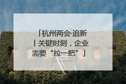 杭州两会·追新丨关键时刻，企业需要“拉一把”