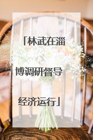 林武在淄博调研督导经济运行