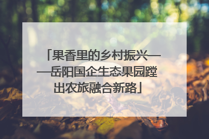 果香里的乡村振兴——岳阳国企生态果园蹚出农旅融合新路
