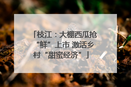 枝江：大棚西瓜抢“鲜”上市 激活乡村“甜蜜经济”