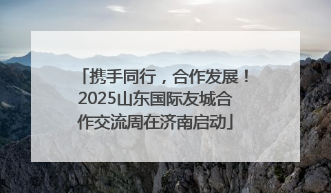携手同行，合作发展！2025山东国际友城合作交流周在济南启动