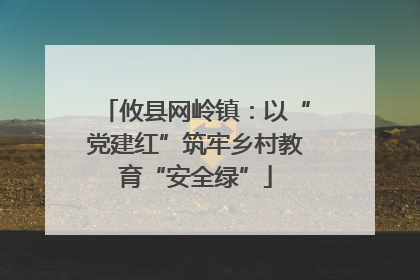 攸县网岭镇：以“党建红”筑牢乡村教育“安全绿”