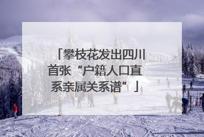 攀枝花发出四川首张“户籍人口直系亲属关系谱”