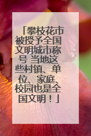 攀枝花市被授予全国文明城市称号 当地这些村镇、单位、家庭、校园也是全国文明！