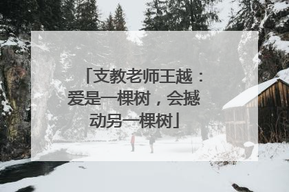 支教老师王越：爱是一棵树，会撼动另一棵树