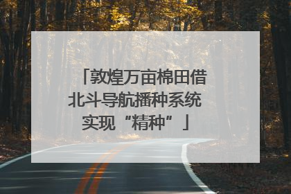 敦煌万亩棉田借北斗导航播种系统实现“精种”