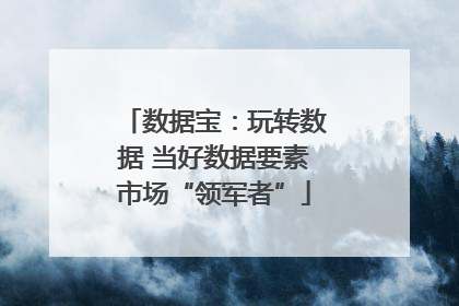 数据宝：玩转数据 当好数据要素市场“领军者”