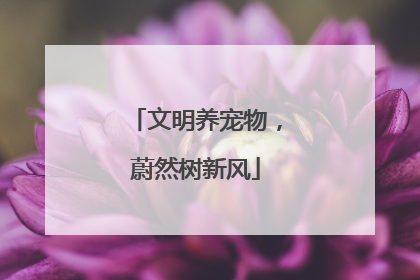 文明养宠物，蔚然树新风