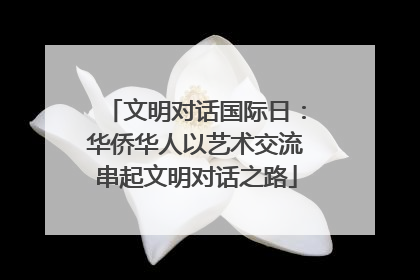 文明对话国际日：华侨华人以艺术交流串起文明对话之路