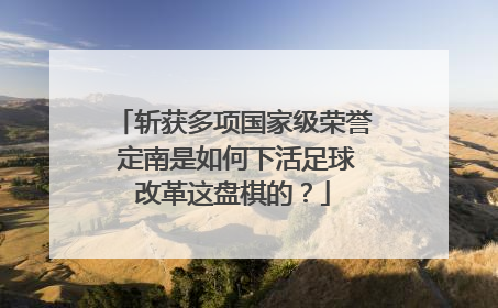 斩获多项国家级荣誉 定南是如何下活足球改革这盘棋的？