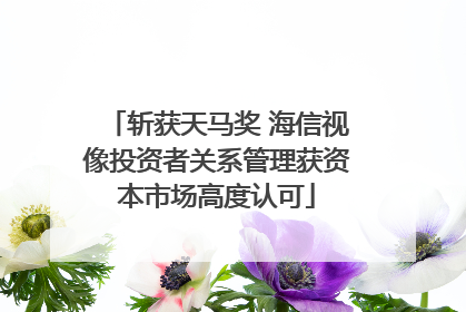斩获天马奖 海信视像投资者关系管理获资本市场高度认可