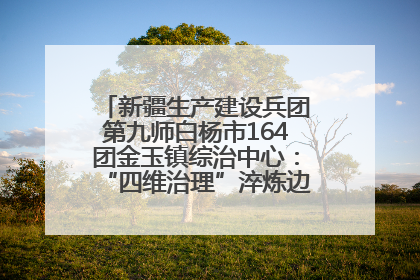 新疆生产建设兵团第九师白杨市164团金玉镇综治中心：“四维治理”淬炼边疆“枫桥样本”