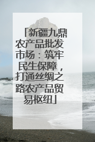 新疆九鼎农产品批发市场：筑牢民生保障，打通丝绸之路农产品贸易枢纽